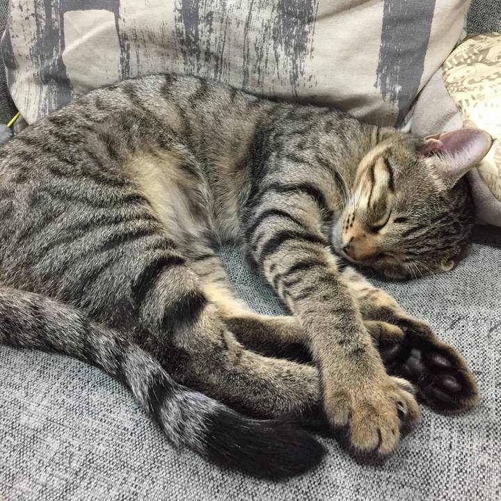 7b90d733 6147 4fef b0f9 9e5419f0a834 1510059809856