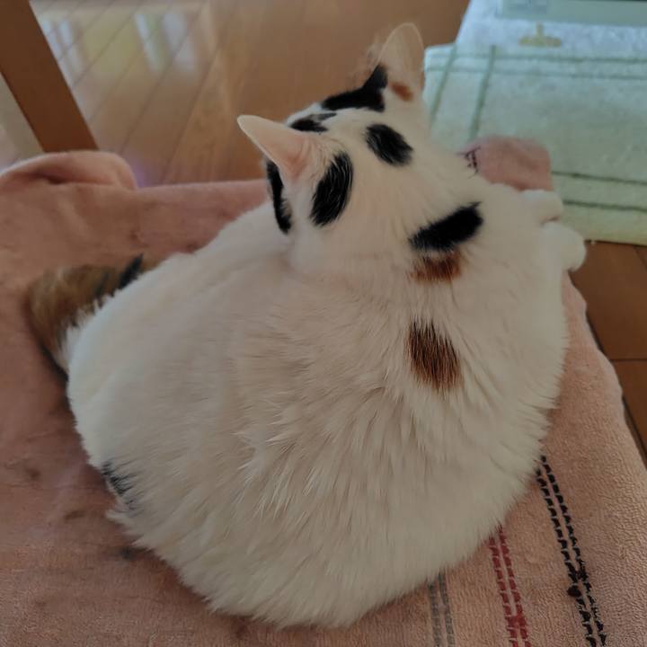 7b90e988 4255 4674 81c5 f6409448bef0 1734907722129