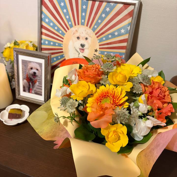 7b91137b fecb 4583 a7a4 cab87f03822e 1769339459302