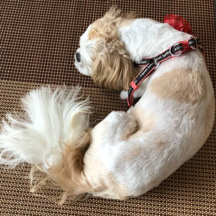 7b912a9d 51f8 42e1 940b 53f80b65f1b1 1630619334937