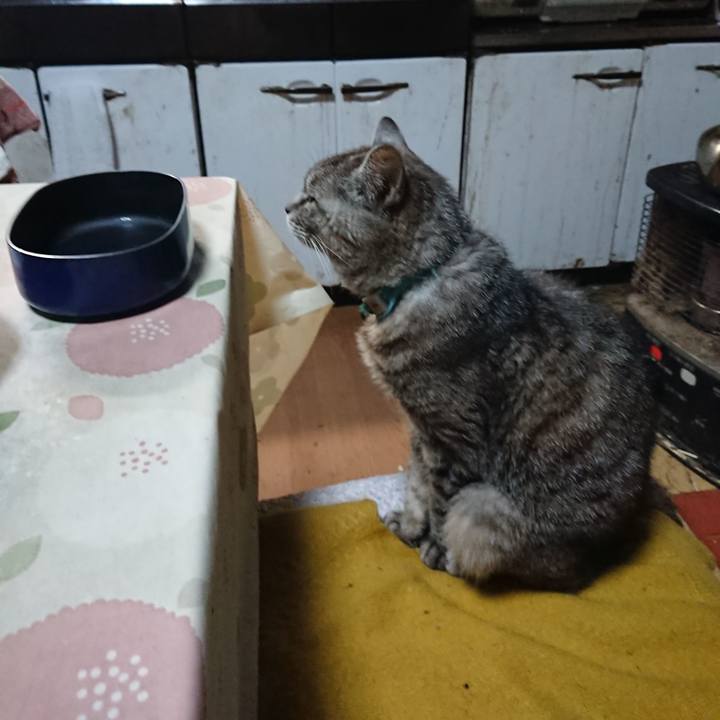 7b914938 0bf5 454e 8dd6 4666f5d65ab5 1570156326504