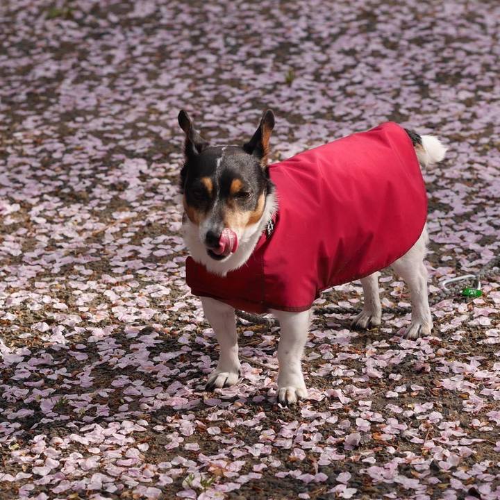 7b916c67 330c 4ce9 9217 0a0140af2415 1650004206725