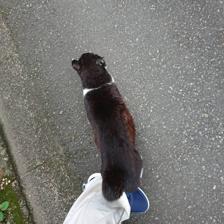 7b918491 003a 4b6b a8ba d2a3ec4d6475 1687260258320