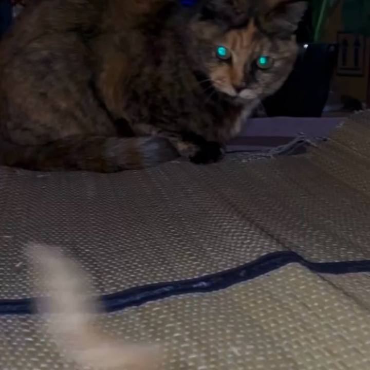 7b91c9e2 3e08 4ee9 89cd e21c62fd05ca 1768941793269