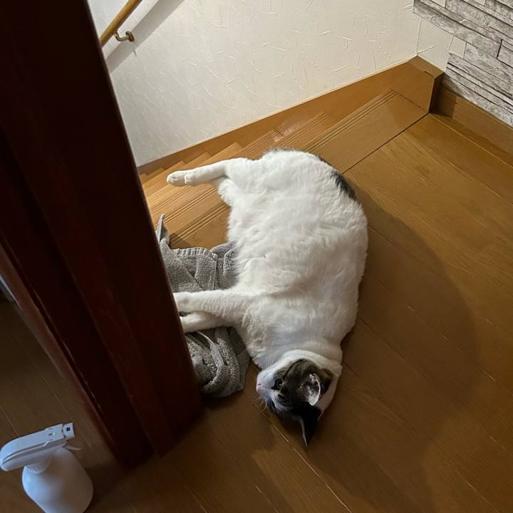 7b91f004 b8a1 4db6 94ec 37a6e8e0da7c 1693861237087