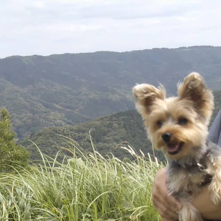 7b921c86 3c65 48b2 b941 7f50c9eb3eaa 1563948419210