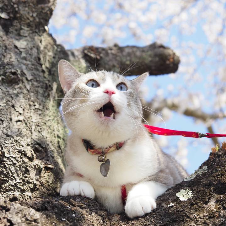 7b921d6d 5cdf 472b aa19 7f759b6c04c1 1680578497639