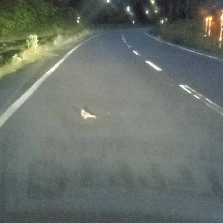 7b921df9 ffc3 4afd 8bda 8d950ed896ee 1722388121995