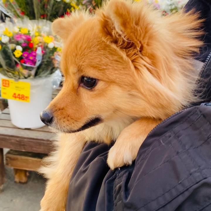 7b92668c 8c6c 431c b8fe bf63c823663a 1609851088757