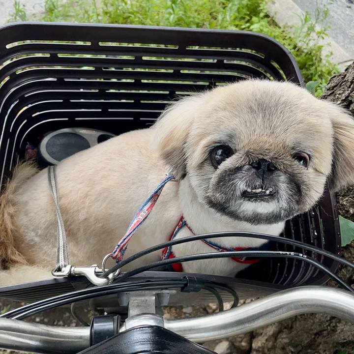 7b926c91 e2b2 42b5 bf31 53f36a9564aa 1750911813220