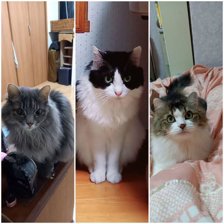 7b929d11 1bae 4a2a a205 3f158e8ba8ba 1644010600389