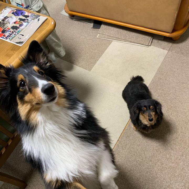 7b93071d 9ead 499e 943a 9fc5f839b71a 1548367656691