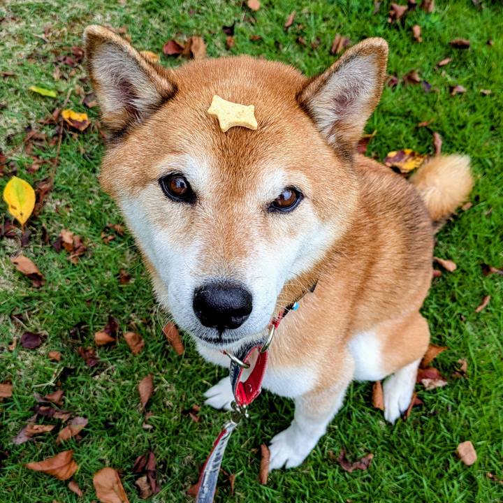 7b9309a5 6654 4ad9 b2ec 7d71bee32366 1757734581734