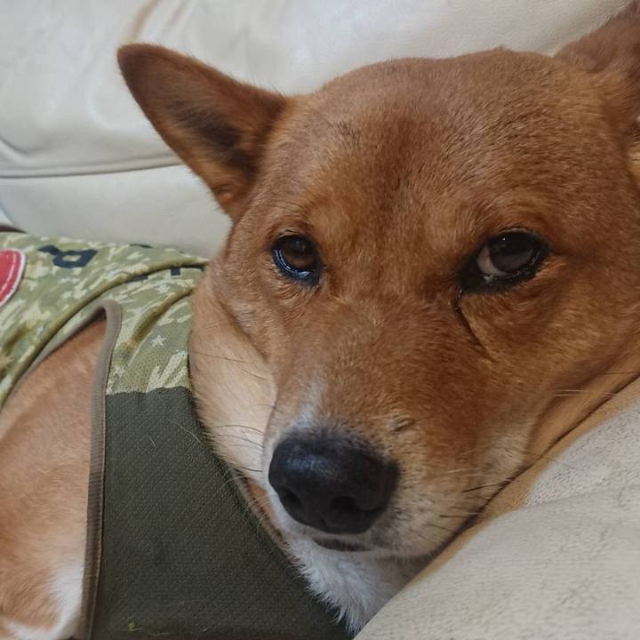 7b933dab dd99 4a82 8ceb 2abac844892a 1597924880929