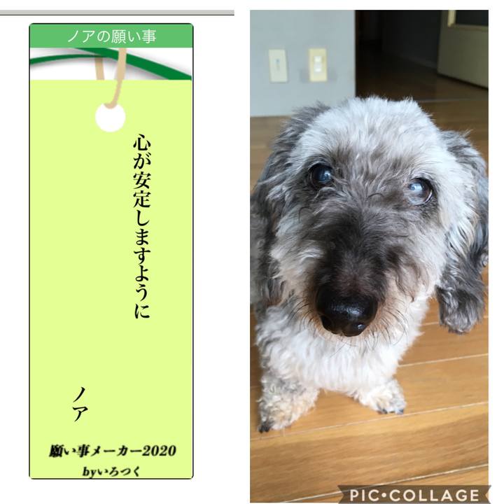 7b934954 47c3 4dca aa80 fa924f4391cc 1594130010391