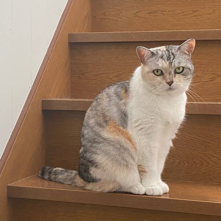 7b934aab b75b 4a9e b8b2 5ca0e0c29607 1658020625692