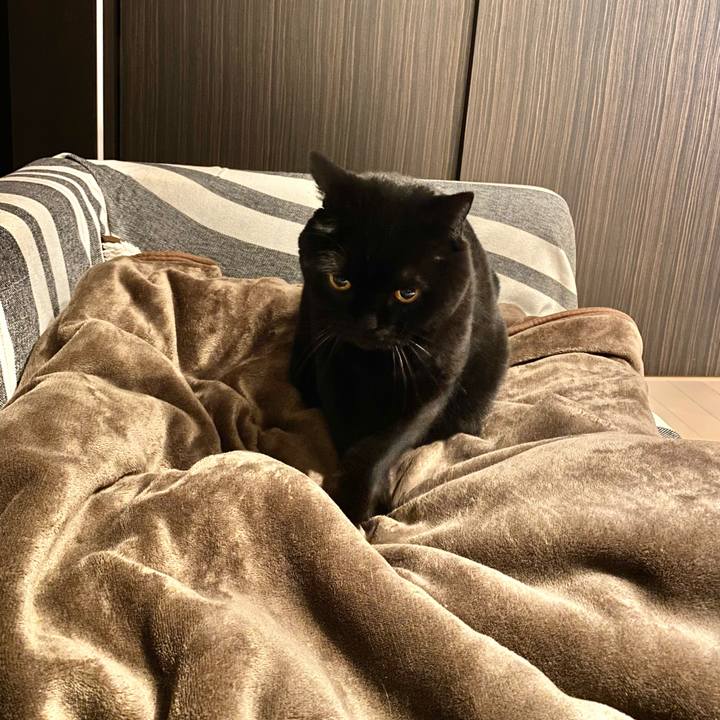 7b935fe1 e529 46b5 9c95 9ae403e126ba 1775298867784