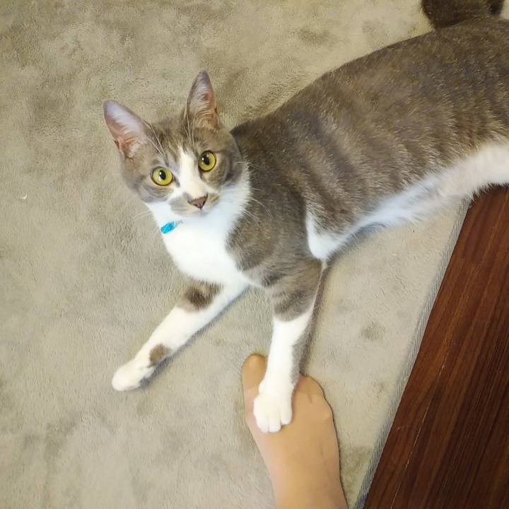 7b936293 52e0 4594 a79b ce13aaad0eea 1590966868881