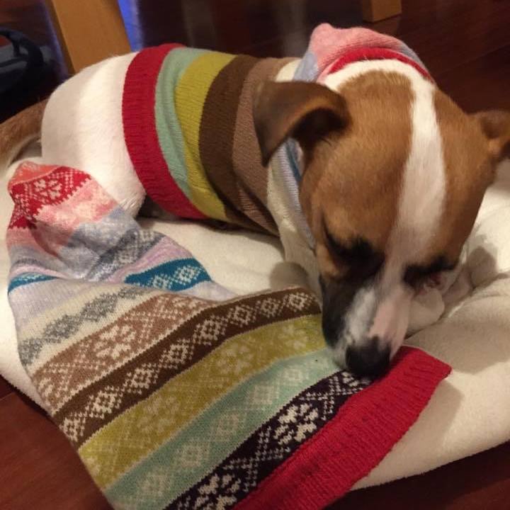 7b939949 de7f 4279 9df9 a3a8d9fb9602 1668427653850