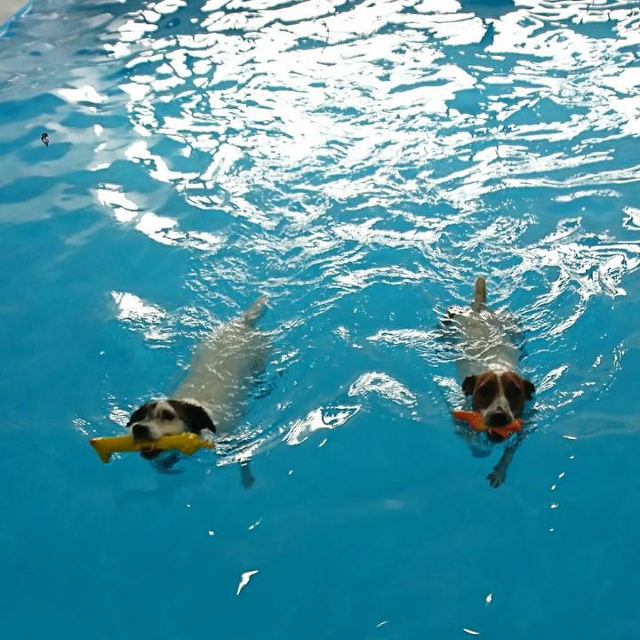 7b93ab92 df47 4591 b9e6 0ec50fe726f0 1595312490148