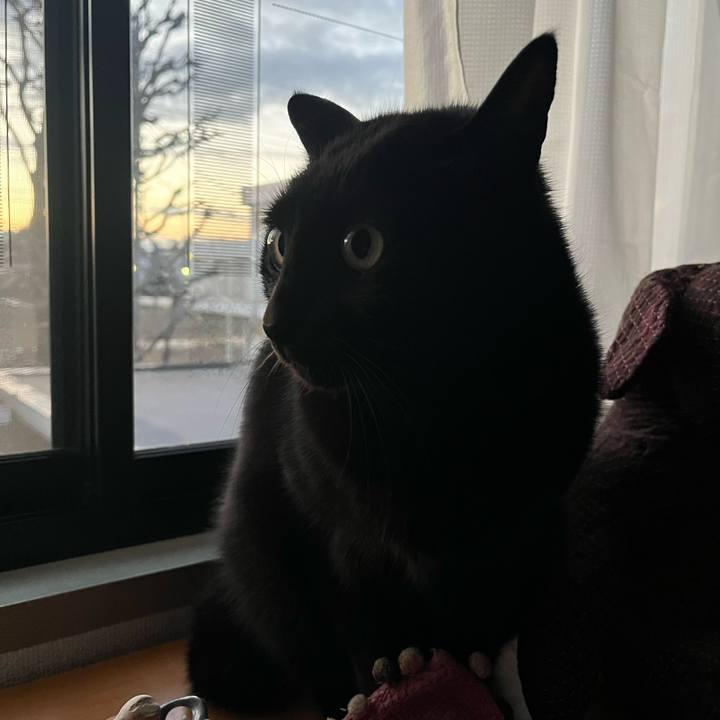 7b93b4c2 6dd1 440b aae0 ae0c2c8a9faa 1739924533990