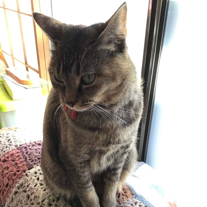 7b93be4b a142 48a0 9f8e 54708ba937b9 1612831659225