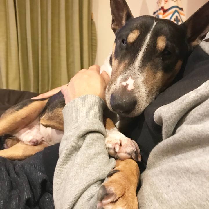 7b9422c8 791c 4356 b9b4 97e32941b799 1521285611389