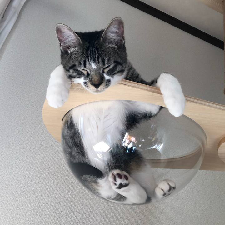 7b9451be 0c0f 4566 bb50 53c95f37badb 1642820770663