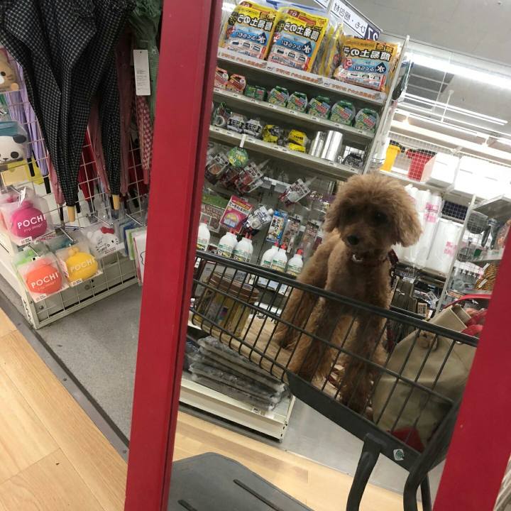 7b94842c 3be3 469a a966 5e72d3fbebe7 1531655940501