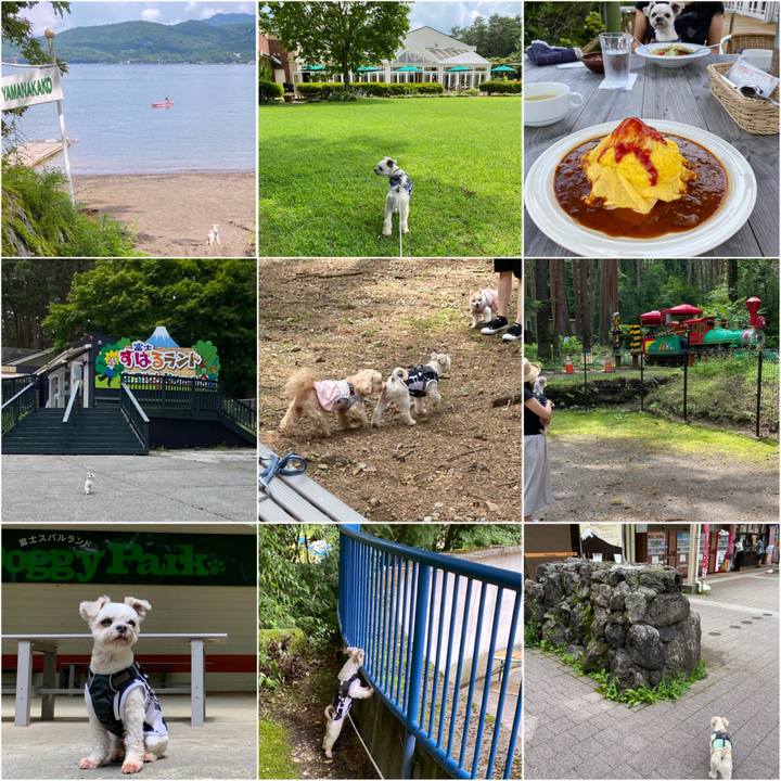 7b948625 b630 4055 b8af b392878d2d55 1596275520959