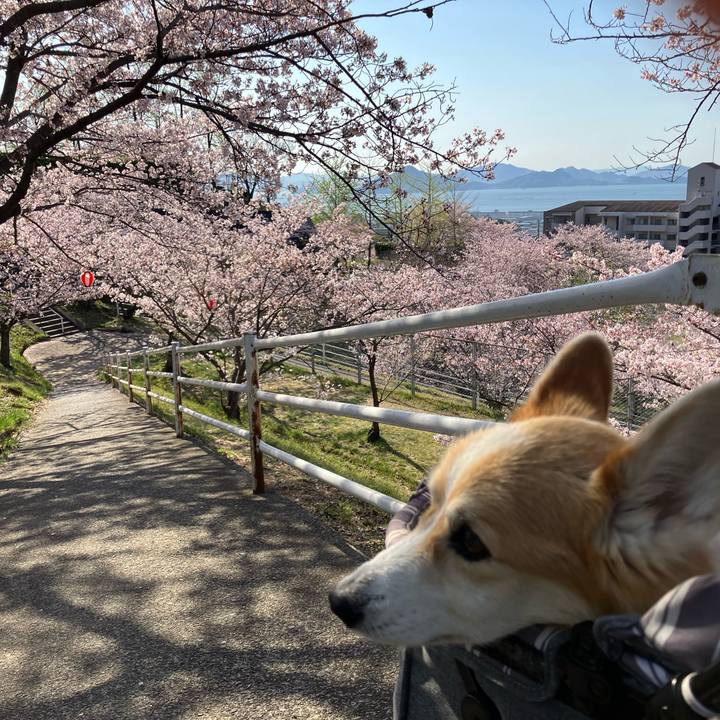 7b94869b fe9b 4a42 a51f bd98a2481873 1775193830372