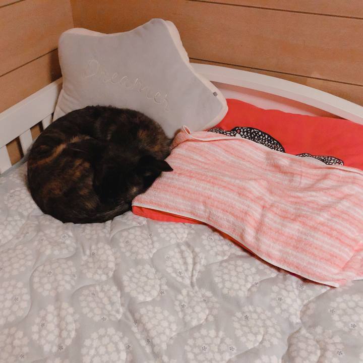 7b94e191 577c 4d3c a2f6 5ff649866f60 1573486537018