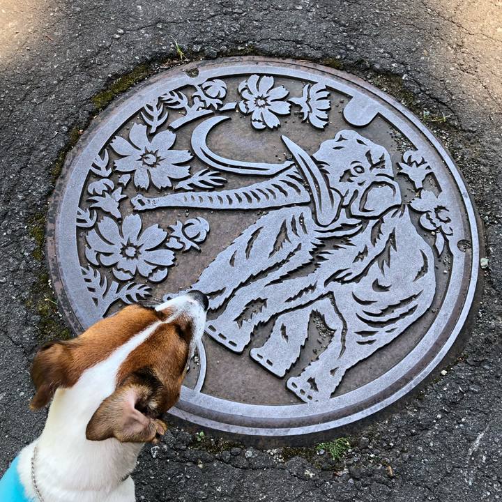 7b94ea5d ce1d 4fc6 a7cc 53d02357d266 1565147027675