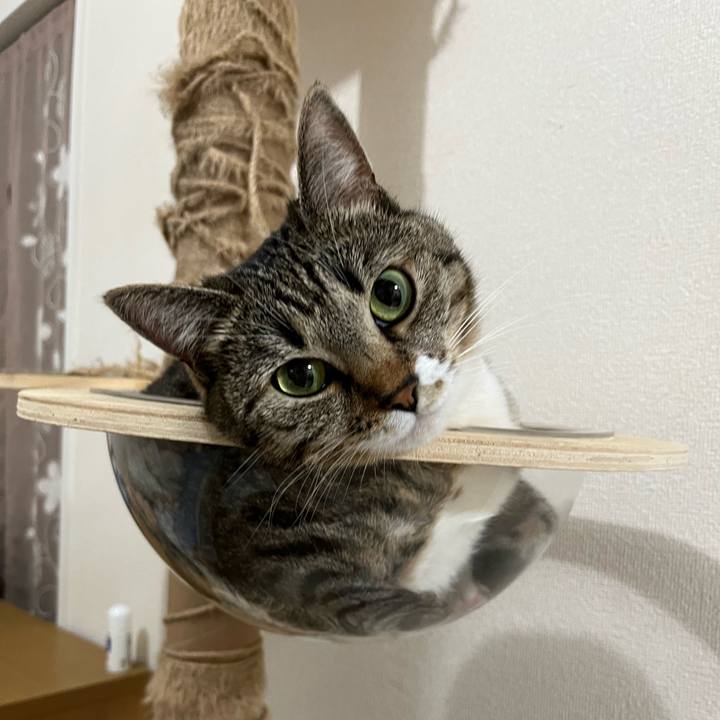 7b94ec9f a477 4bb9 8766 fc713341bb59 1696925917965