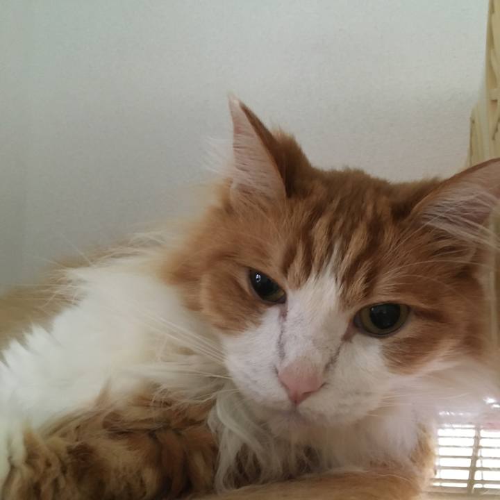 7b94fb94 b5f0 44ea 905a 7c543d0210c7 1594098796461