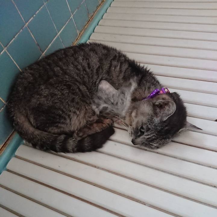 7b94fc6f 2d9e 43b2 ba12 cb261e520a20 1591474851250