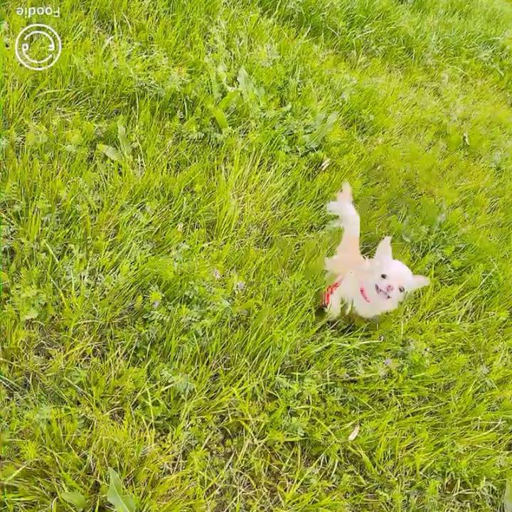 7b9522a2 9073 4f9f a3bf 22f0bd541758 1617098710304