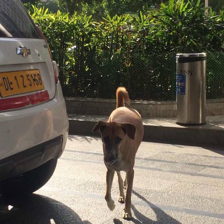 7b9527ff f26b 4a3d 8aee 7f1dee28d929 1521287142630