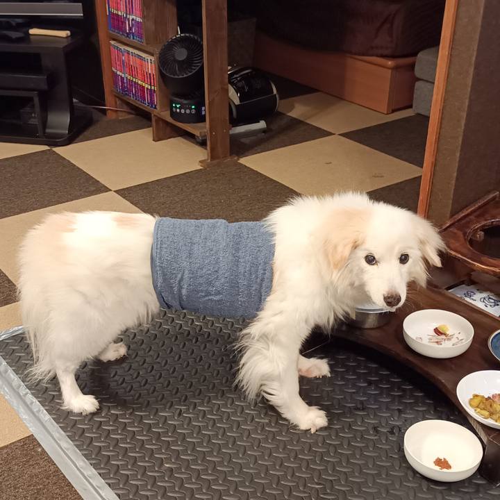 7b953843 8172 4c30 a299 0e0b1af58b23 1756984056299