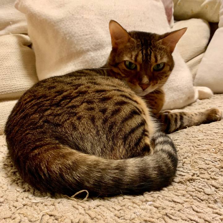 7b9552e2 2de6 4062 a01e 4b383a5d4bb4 1568415556387