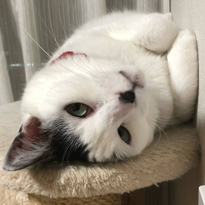 7b957dfb 7063 4b12 af43 e73830faf74e 1518617053856