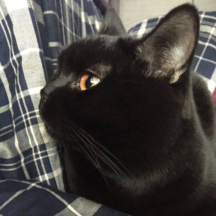 7b9592ef 7f10 4b80 ba5b e14d6b07dd7b 1513550647137