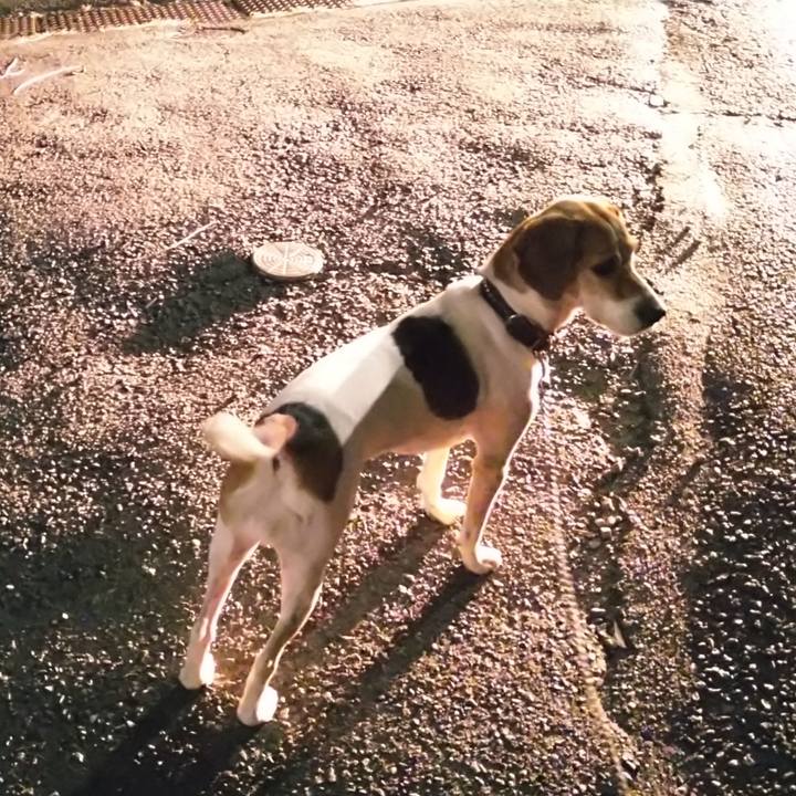 7b95ad3e 17c5 4c7c ac60 b435d4a82d21 1634134237211