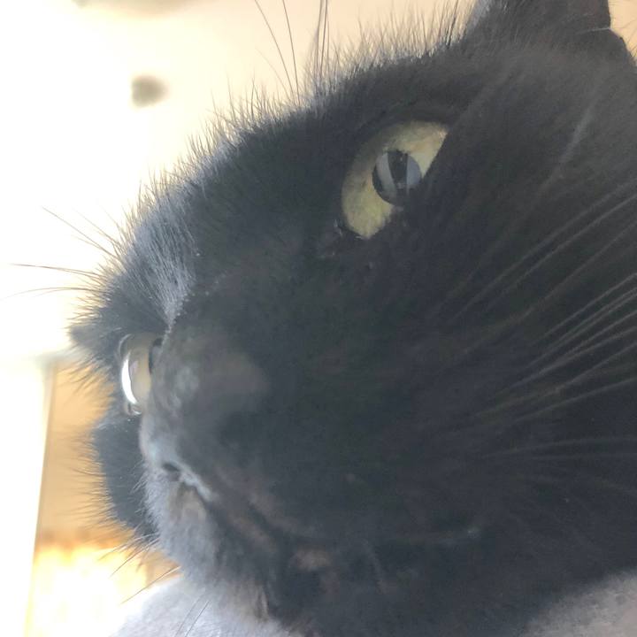 7b95b17a a137 41d5 9030 e8cc542d5358 1540616603836