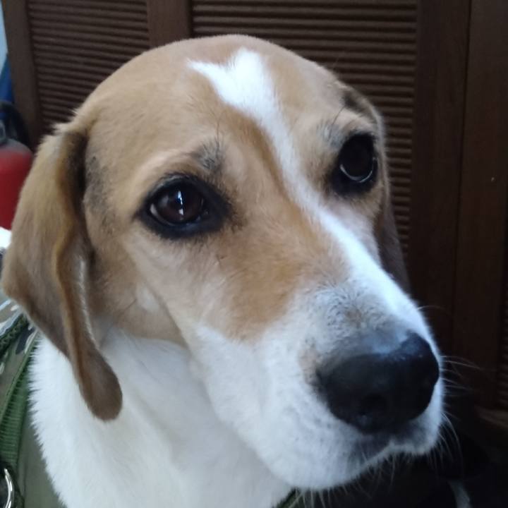 7b95d971 b31f 4793 a4fa ddae417e12d7 1666927812309