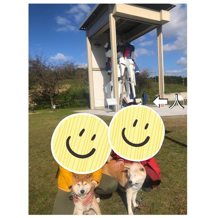 7b95e287 8e5b 403c a172 222da047a495 1575413417071