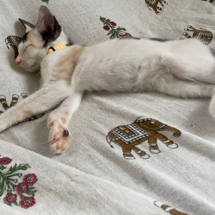 7b95e8db c5ec 461d ae5e 8c4601ef9f6d 1658371016116