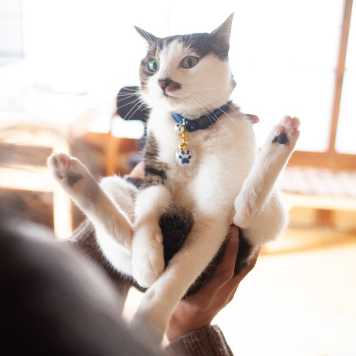 7b95f08d 3bff 4f38 a90f c417ba6cdca3 1579091887309