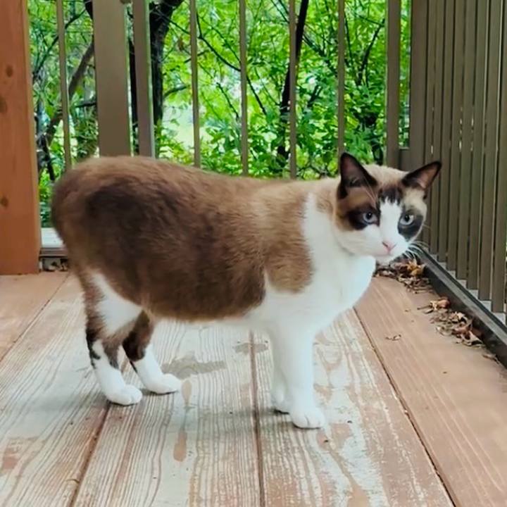 7b95fcfb 2de4 48d7 b3f2 fe480435f0f2 1754706555890