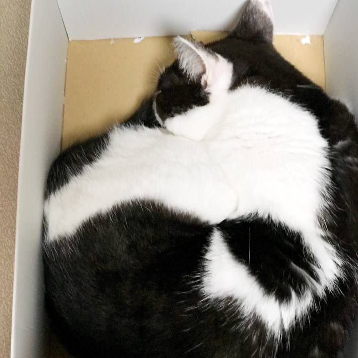 7b961fc5 70b0 4f0e ba43 c3c72167f3b9 1527777776180